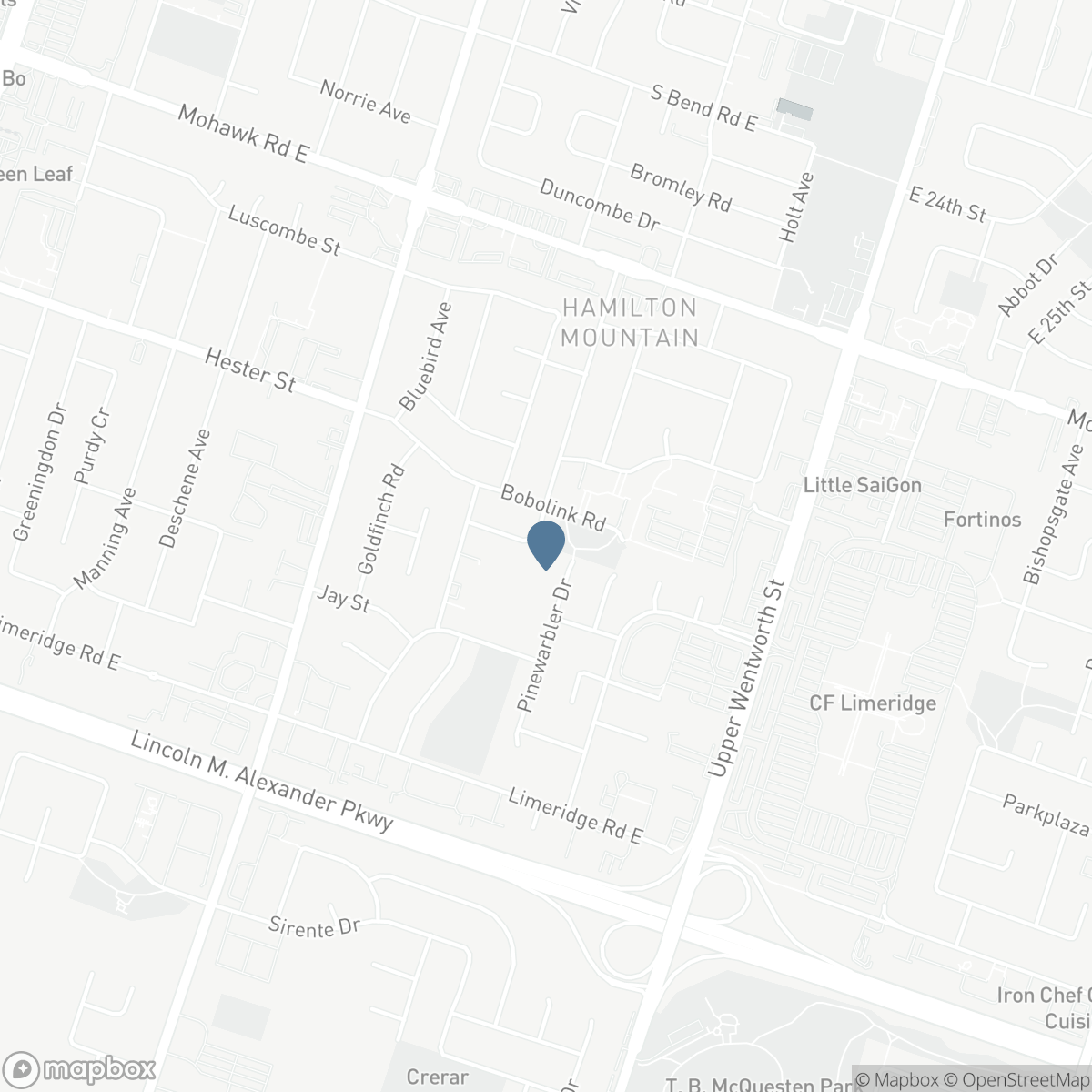 58 STARLING DRIVE, Hamilton, Ontario L9A 0C5